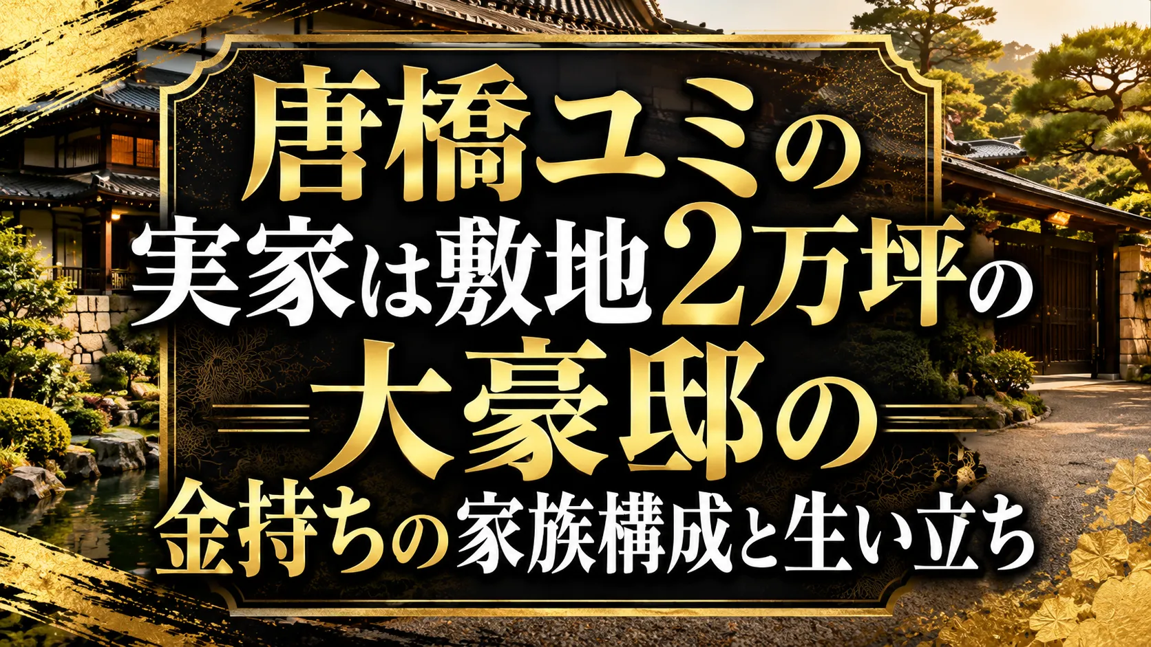 活動歴および当時の関連ビジュアル記録