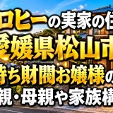 ヒコロヒーの実家の住所は愛媛県松山市｜金持ち財閥お嬢様の噂・父親・母親や家族構成