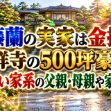 伊藤蘭の実家は金持ち！吉祥寺の500坪豪邸と輝かしい家系の父親・母親や家族構成