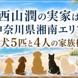 西山潤の実家は神奈川県湘南エリア｜愛犬5匹と4人の家族構成